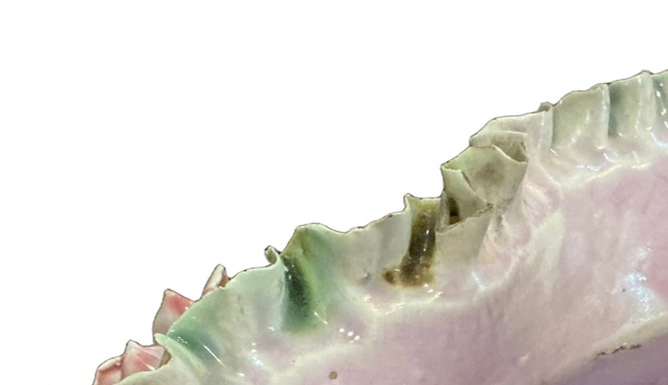 Circa 1900 Majolica Jardiniere