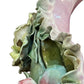 Circa 1900 Majolica Jardiniere
