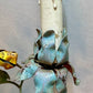 Whimsical Pair Of Mid Centry Italian Florentine Tole Style Bent Metal Electric Floral Sconces